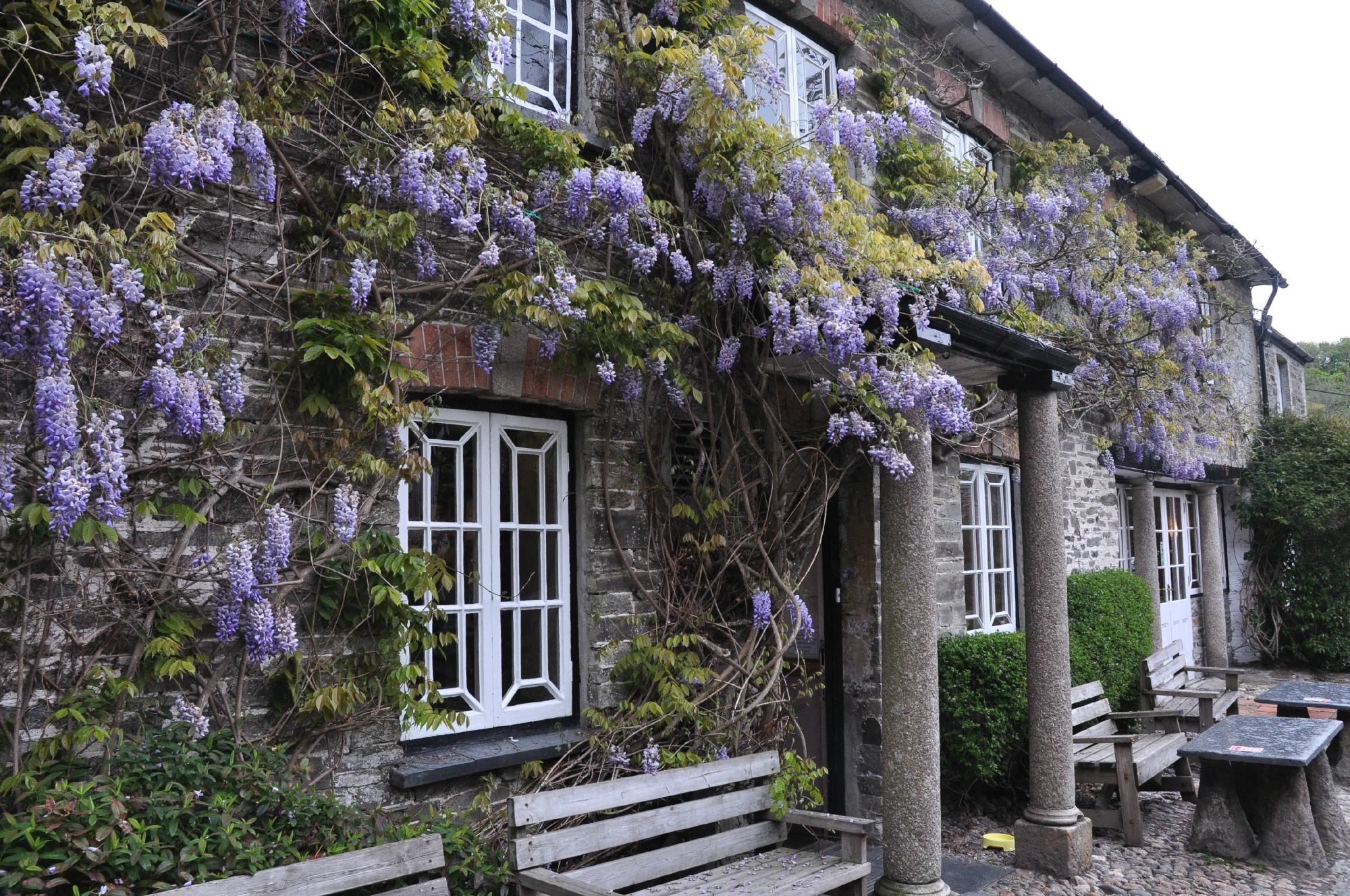 The Falcon Inn-餐饮