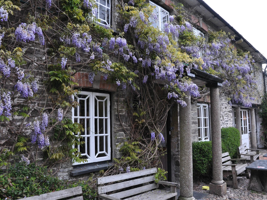 The Falcon Inn主图