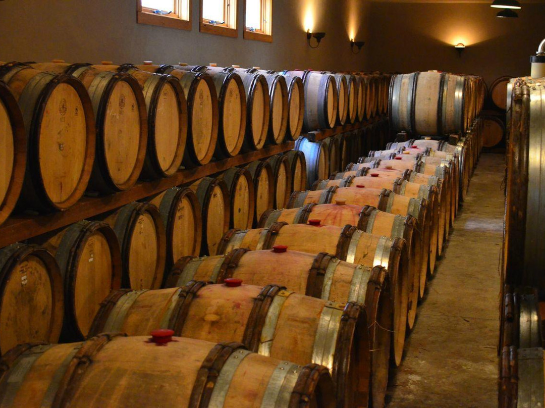 Wooldridge Creek Winery-格兰茨帕斯必去景点