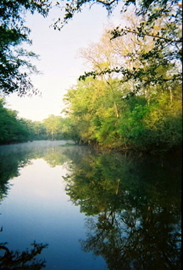 Backwater Expeditions-Rincon必去景点
