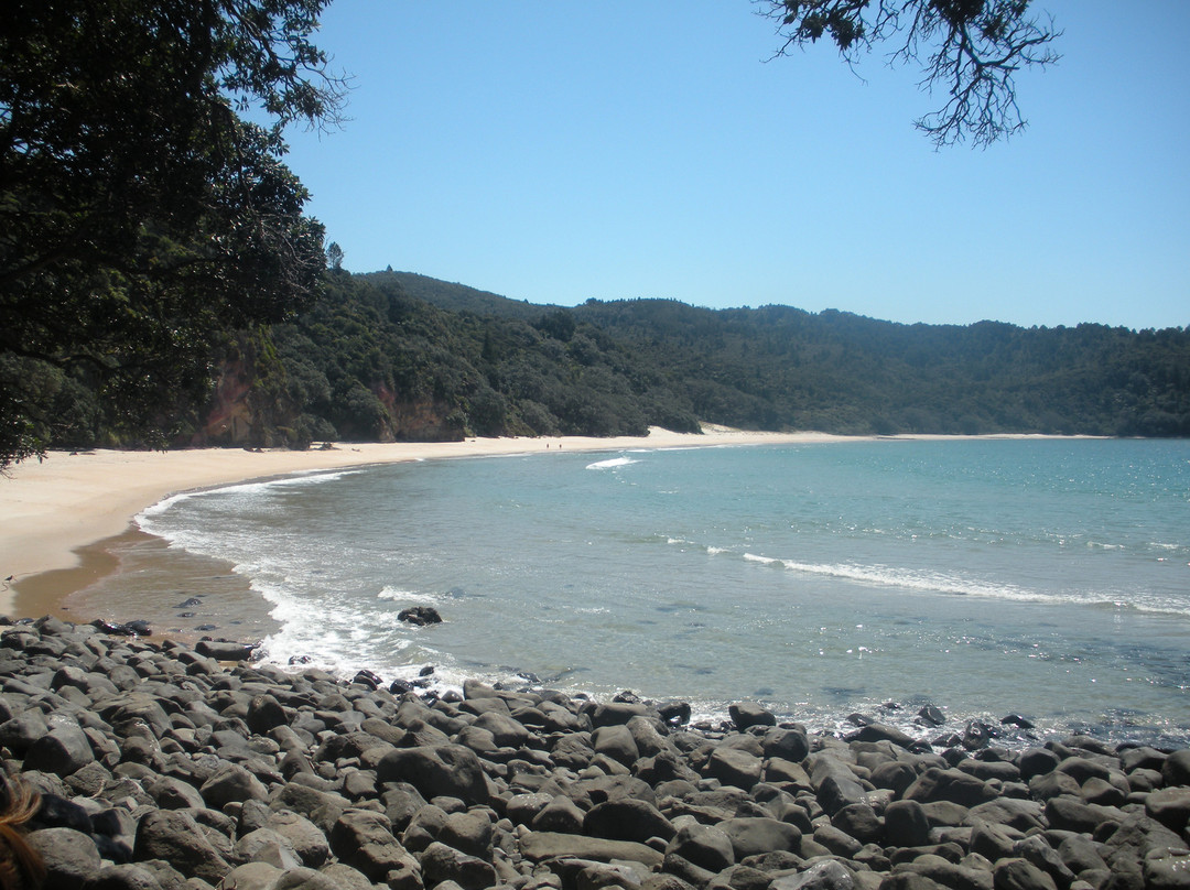 New Chums Beach景点图片