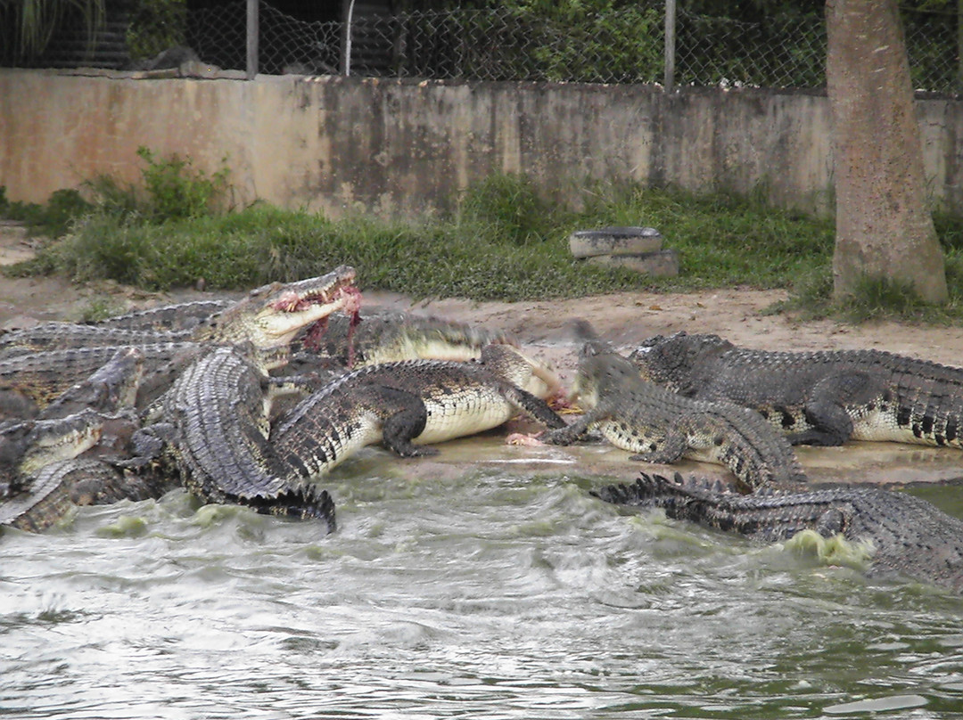 斗亚兰鳄鱼养殖场-斗亚兰必去景点