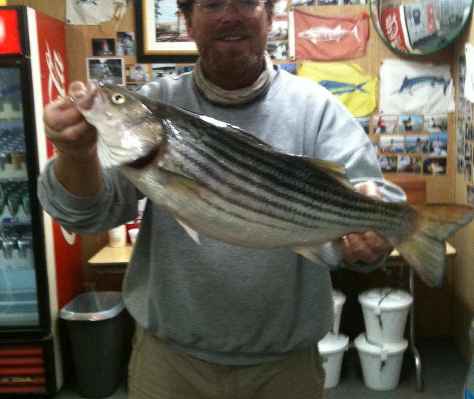 Coffee Bluff Marina-萨凡纳必去景点