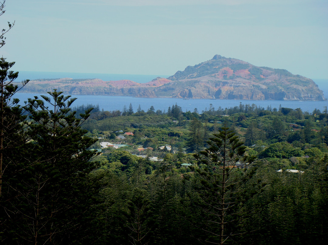 Norfolk Island National Park & Botanic Garden景点图片