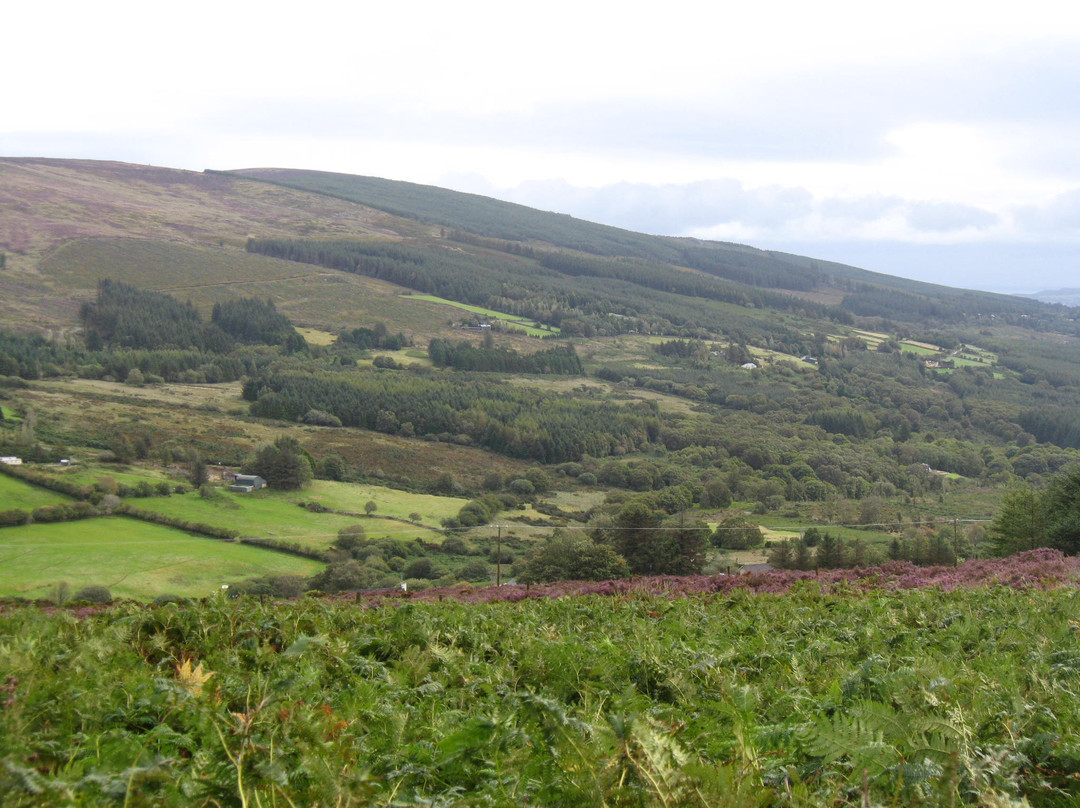 Military Road-Enniskerry必去景点