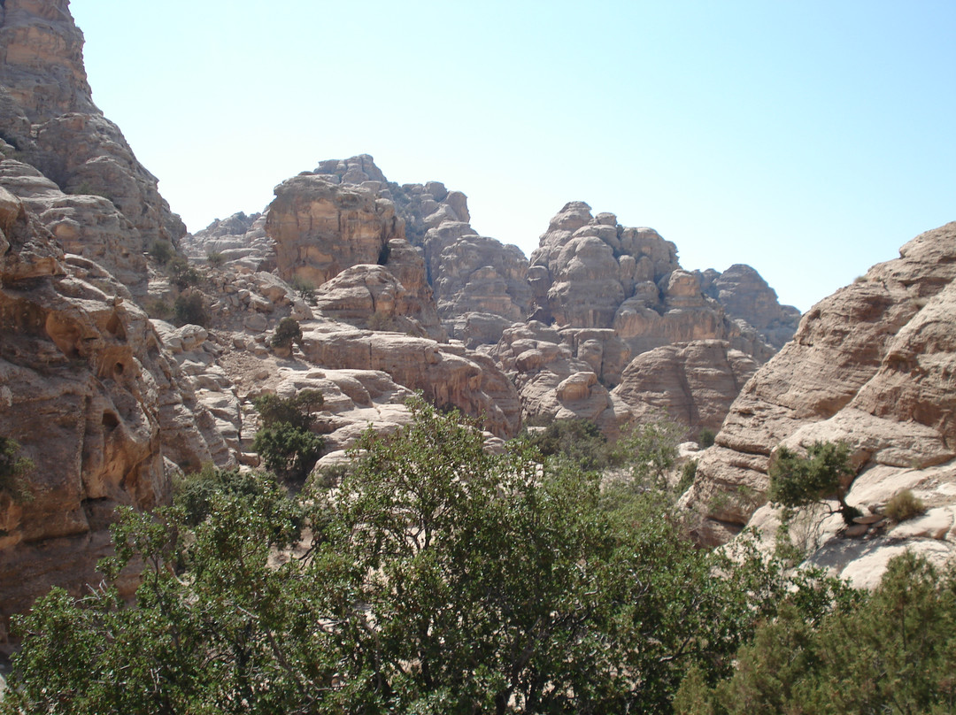 阿尔贝德哈 - 小佩特拉-佩特拉必去景点