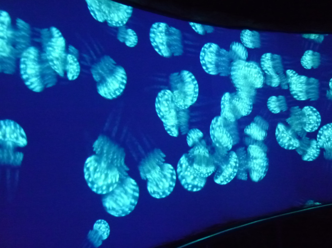 极地海洋世界-青岛市必去景点