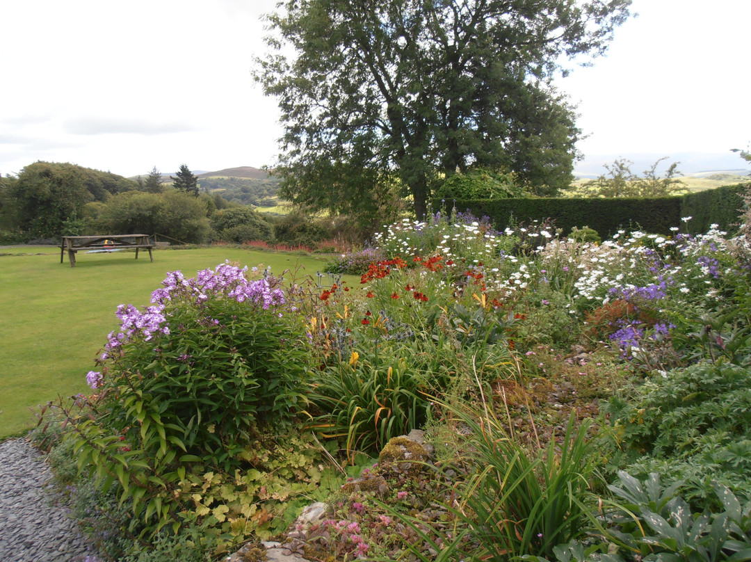 Caerau Gardens景点图片