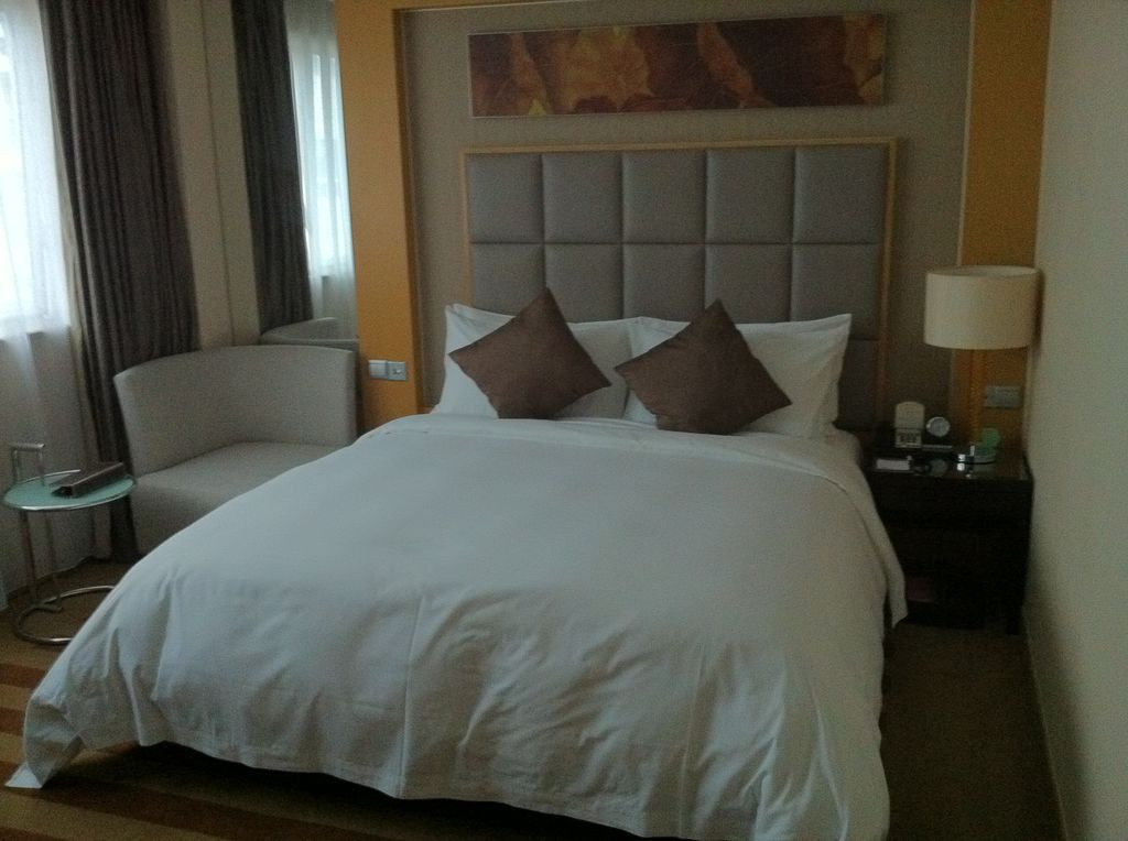 成都明悦大酒店主图