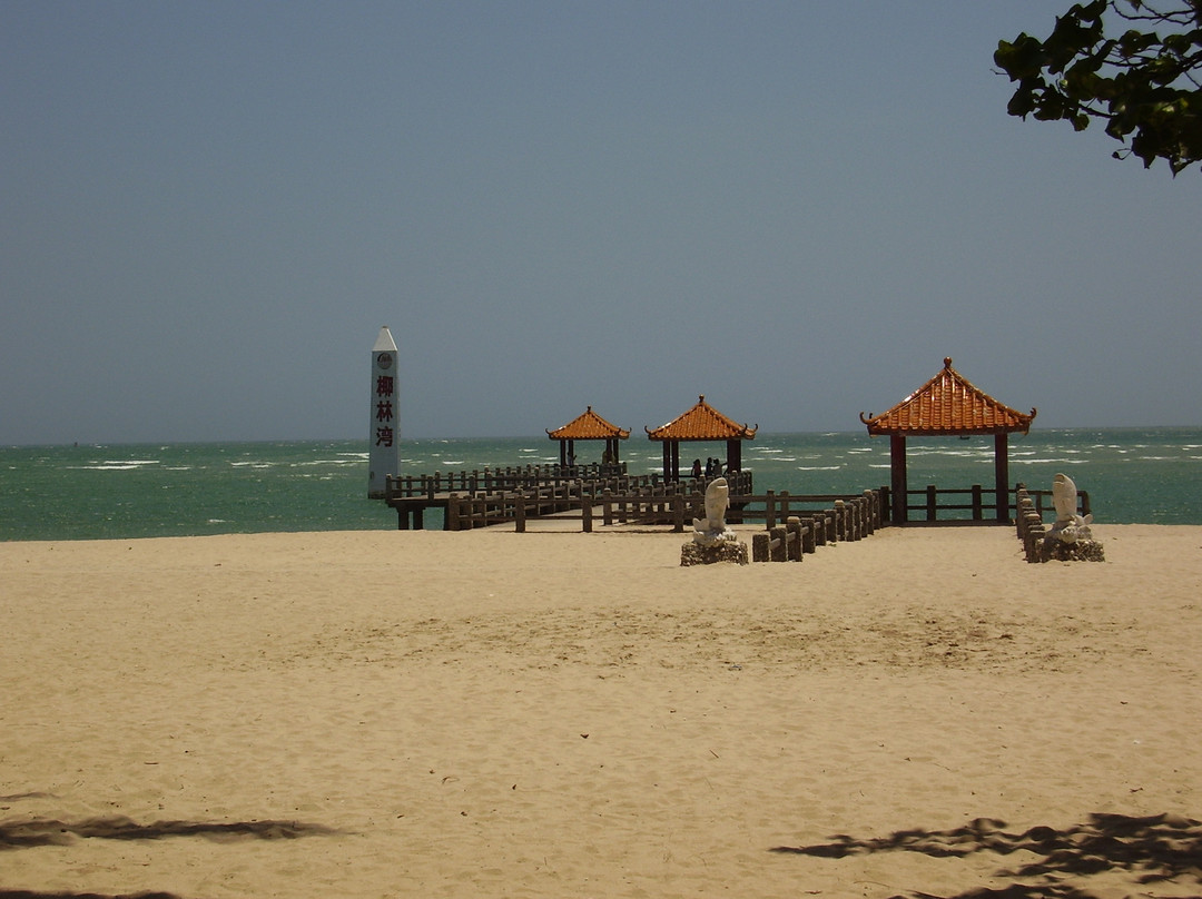 东郊椰子种植园-海口市必去景点