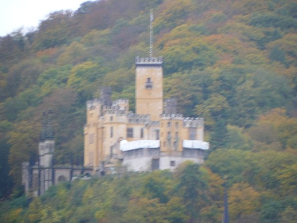 巴哈拉赫旅游景点-Weingut Fritz Bastian Erbhof