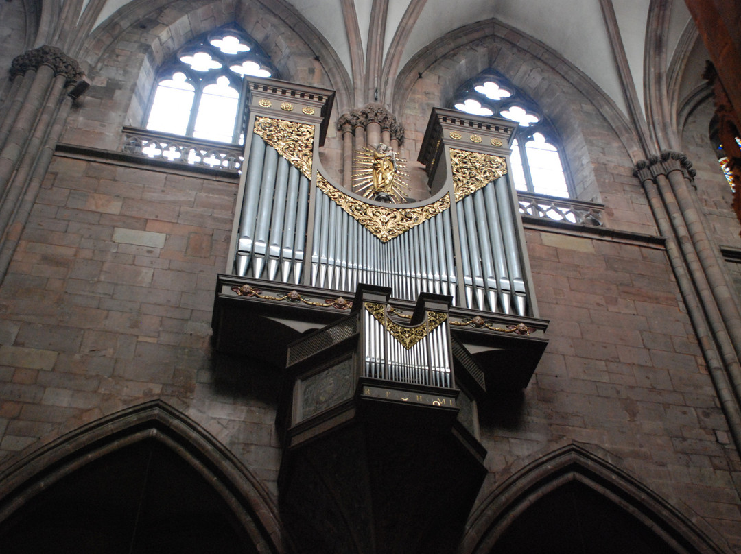 Freiburg Cathedral