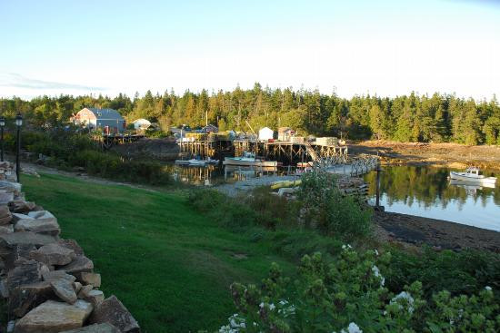 Schoodic Peninsula景点图片