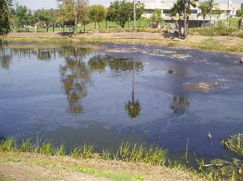 佩吉博物馆-洛杉矶必去景点