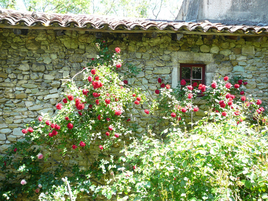 Chambre d'Hote Le Theron主图