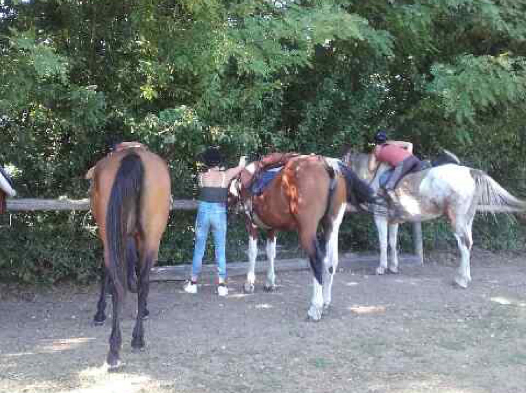 Centre Equestre des Bauges景点图片