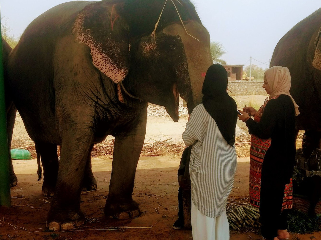 Elefuncity-Amer必去景点