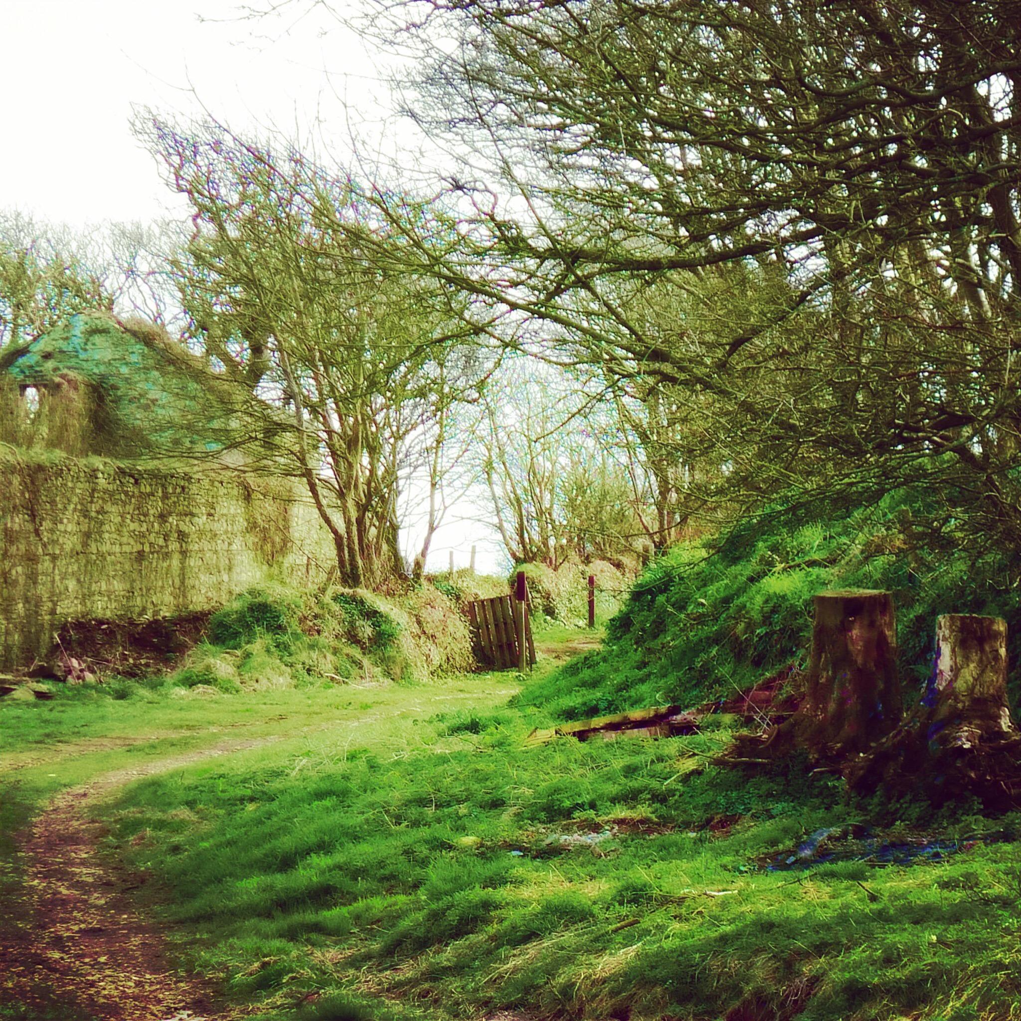 Trevaccoon House Bed and Breakfast-餐饮