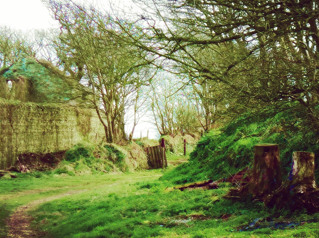 Llanrhian酒店住宿-Trevaccoon House Bed and Breakfast