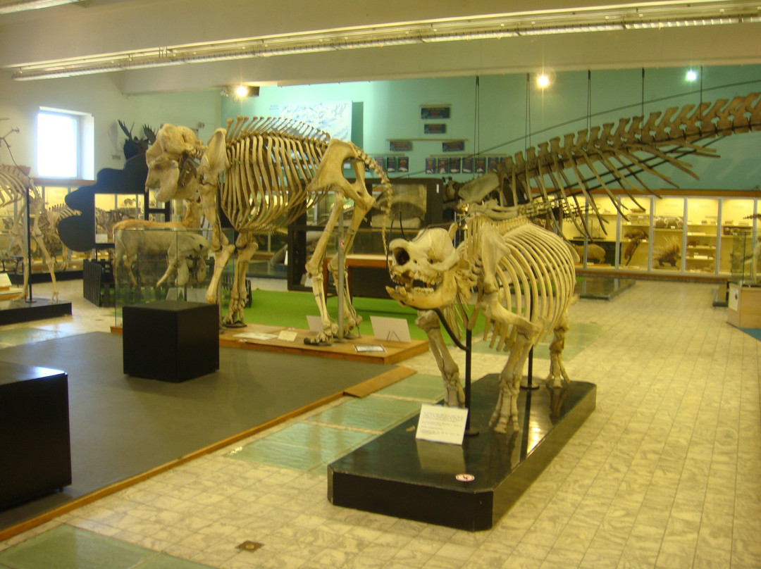 Aquarium-Muséum de Liège景点图片