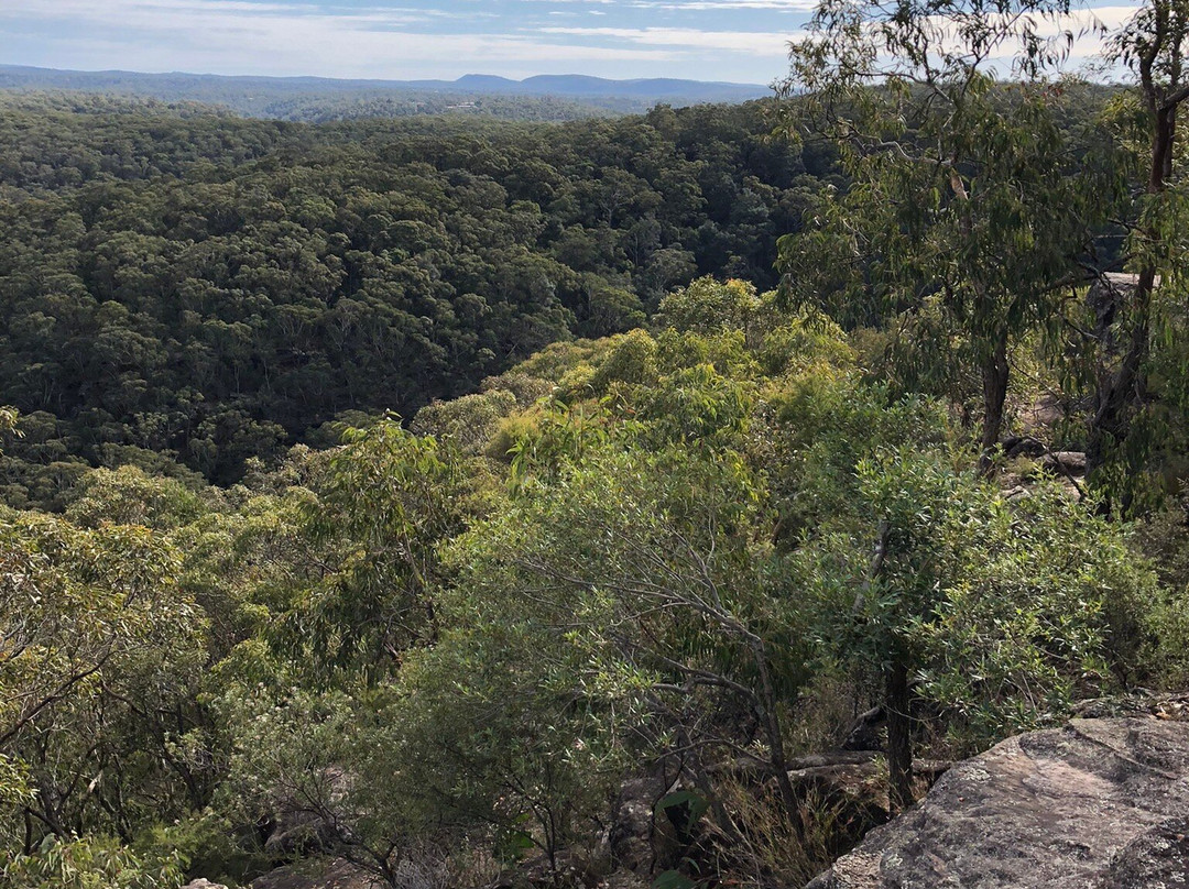 Olympic Drive Lookout-Blaxland必去景点