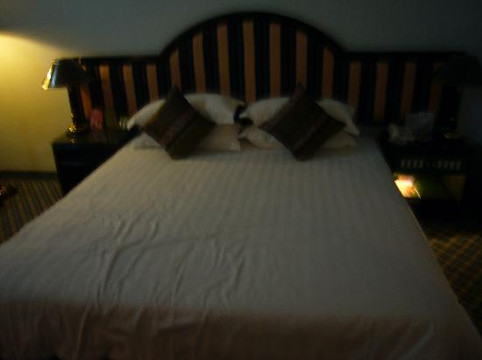 太阳城大酒店主图