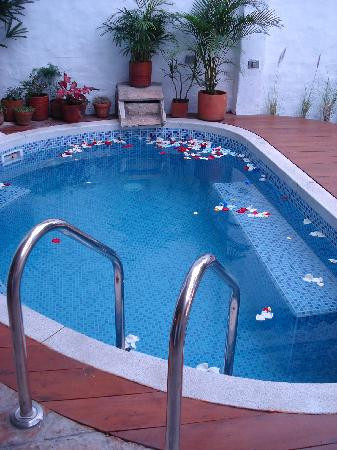 Jardin Azul - Casa 酒店