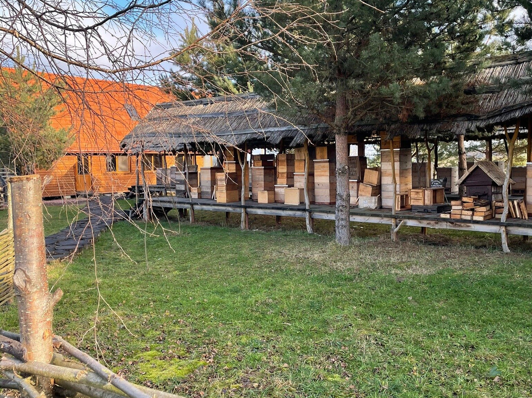 Petrova Pasika-Stebnyk必去景点