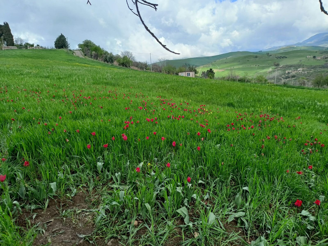Santuario Madonna dell'Olio-Blufi必去景点