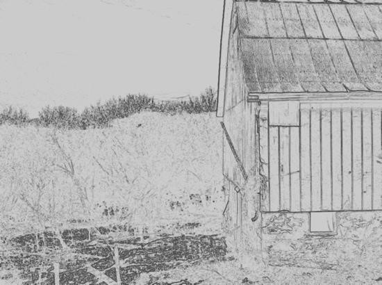 life o' riley farm & guest houses