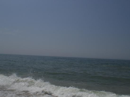 South Beach景点图片