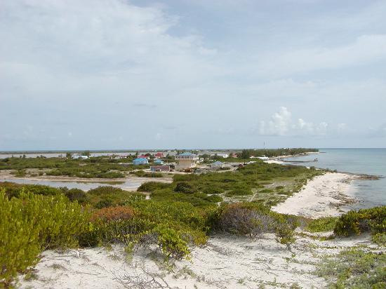 索尔特岛-Salt Cay必去景点