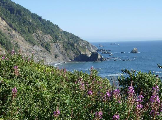 红杉树国家公园-红木国家公园必去景点