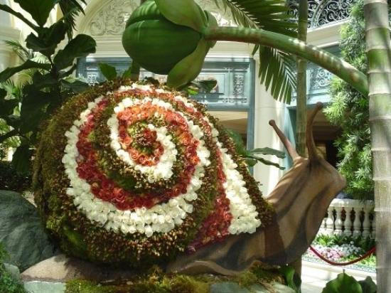 贝拉吉欧温室植物园-拉斯维加斯必去景点