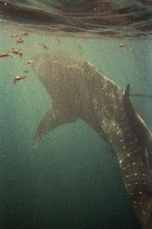 Arta Beach-Arta必去景点