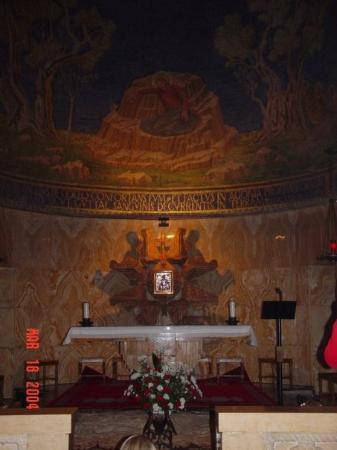 Church of All Nations (Basilica of the Agony)景点图片