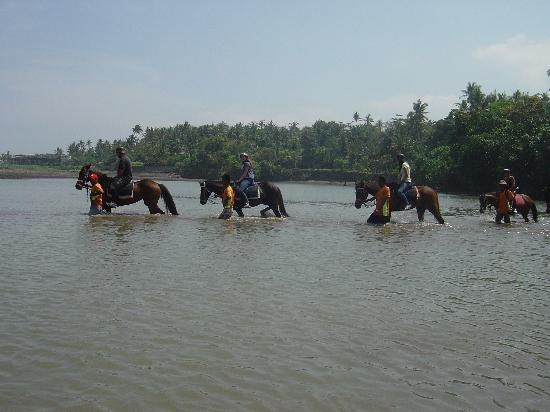 巴厘岛骑马游沙滩-达巴南必去景点