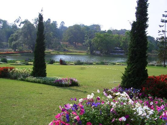 National Kandawgyi Botanical Gardens-彬乌伦必去景点
