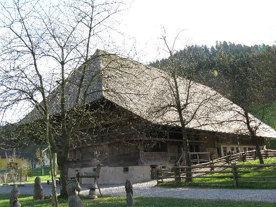 Schwarzwälder Freilichtmuseum Vogtsbauernhof景点图片