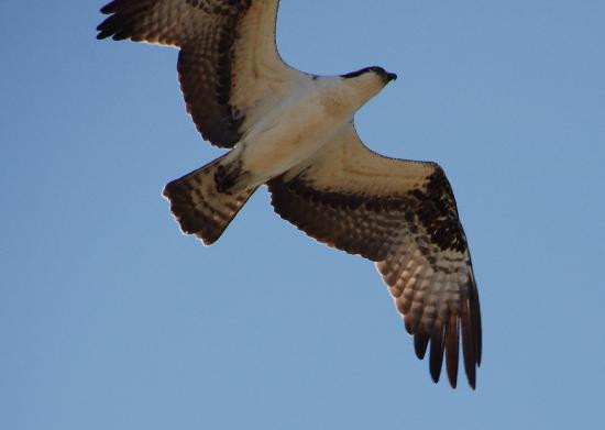 Quiet Waters Park-安纳波利斯必去景点