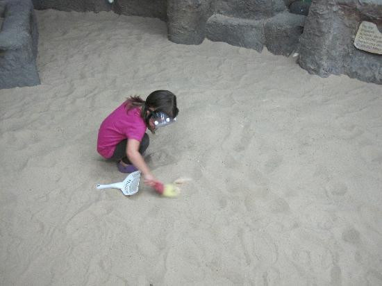 Jasmine Moran Children's Museum-Seminole必去景点