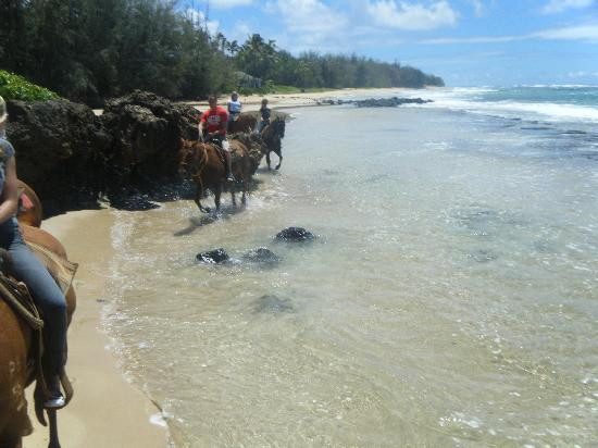 CJM Country Stables-可洛亚必去景点