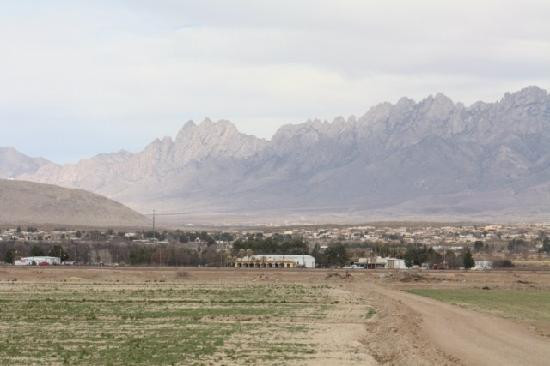 Rio Grande Vineyards and Winery-Mesilla必去景点