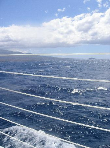 Sail Maui-拉海纳必去景点