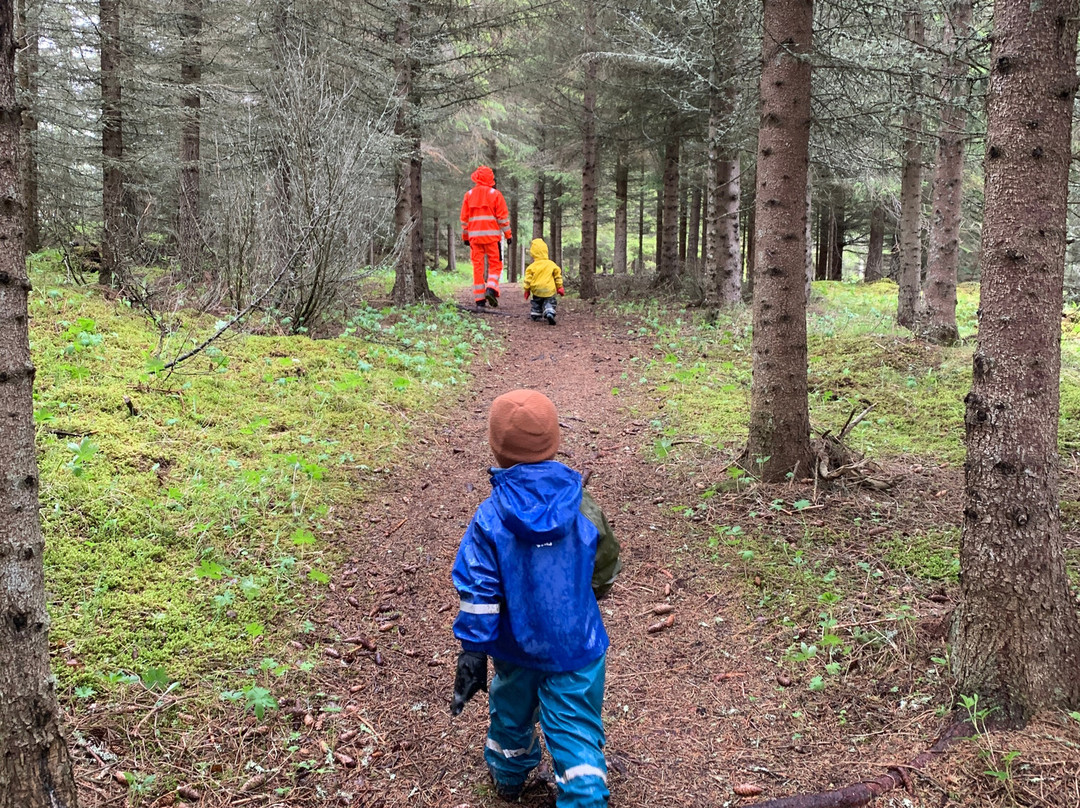 Krigsminner Evenestangen-Evenes必去景点