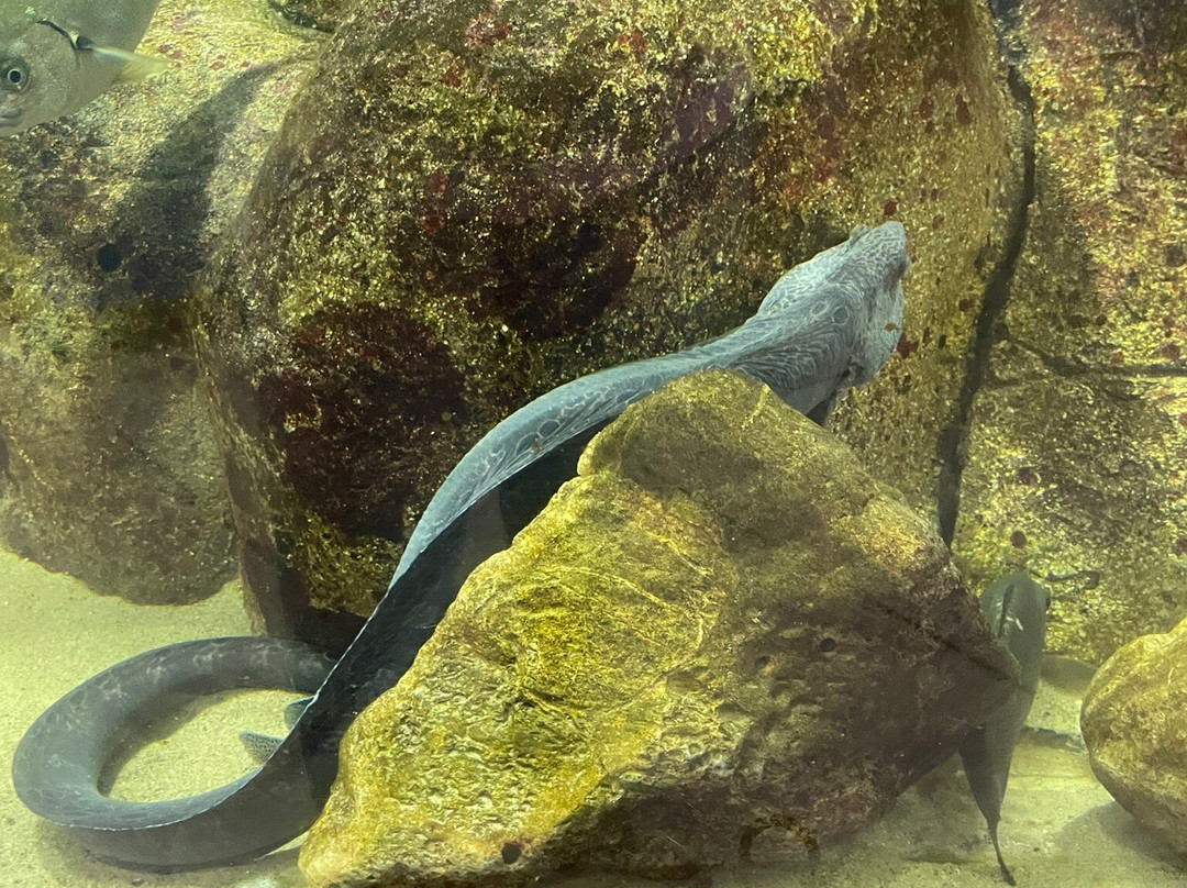 Heal the Bay Aquarium-圣莫尼卡必去景点