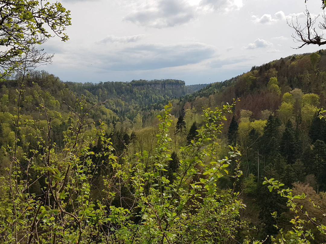 SeWaTo Erlebnisstouren Schwarzwald-Blumberg必去景点