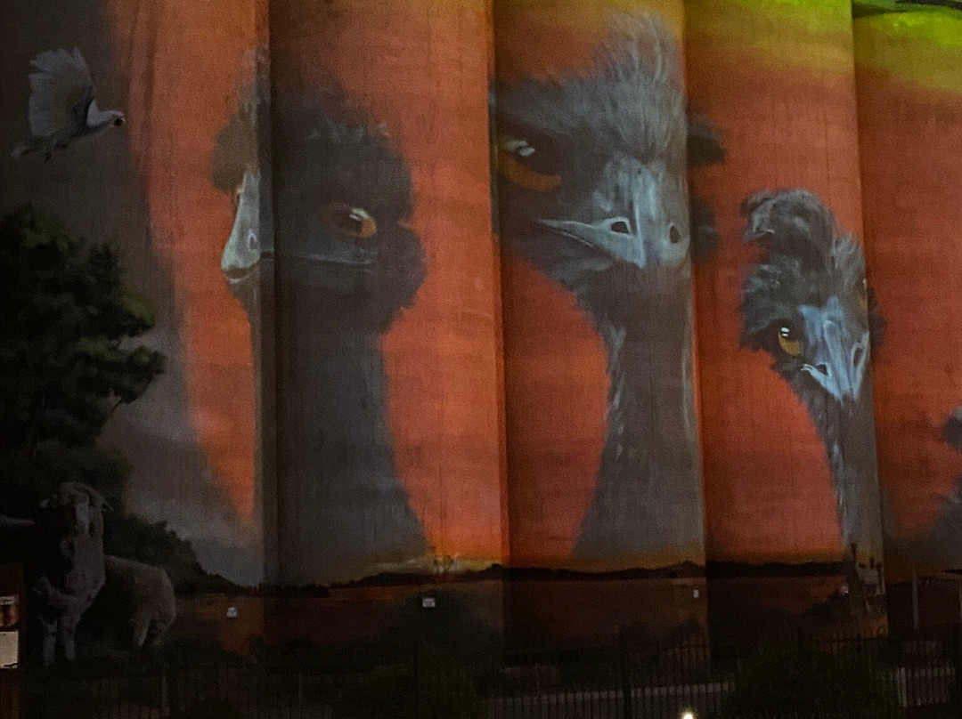 Karoonda Silo Art-Karoonda必去景点