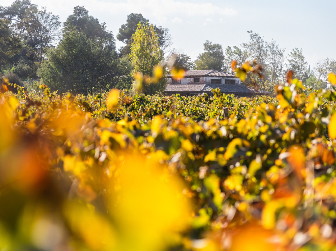 Casa Mesa Bozzolo-San Javier必去景点