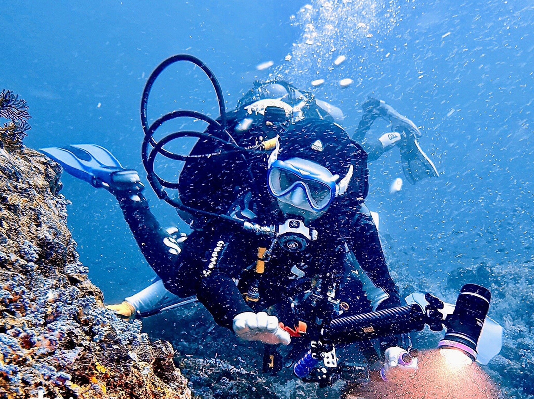 Diving Puerto Galera-葡多咖蕾拉必去景点